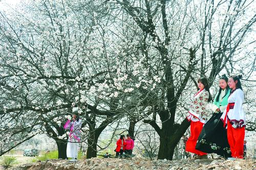 NBA 湖人vs勇士 无插件直播